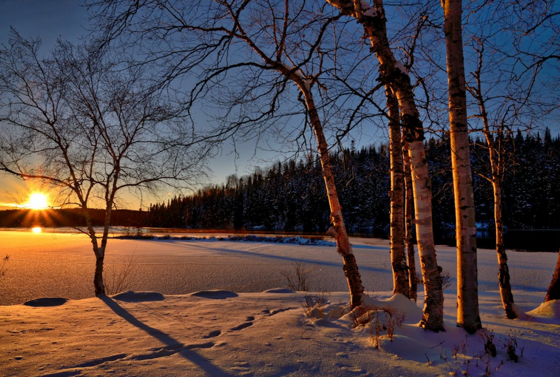 Low Winter Sunshine
